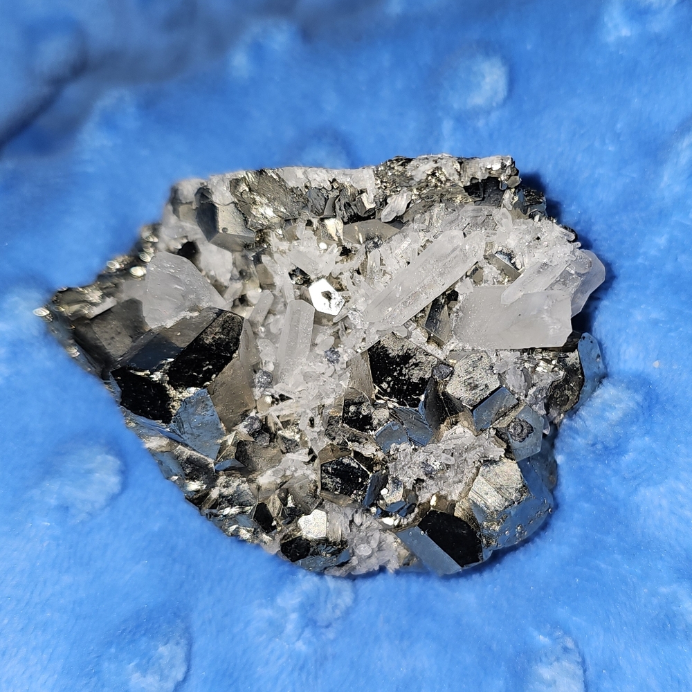 103g, Pyrite and Quartz with Matrix